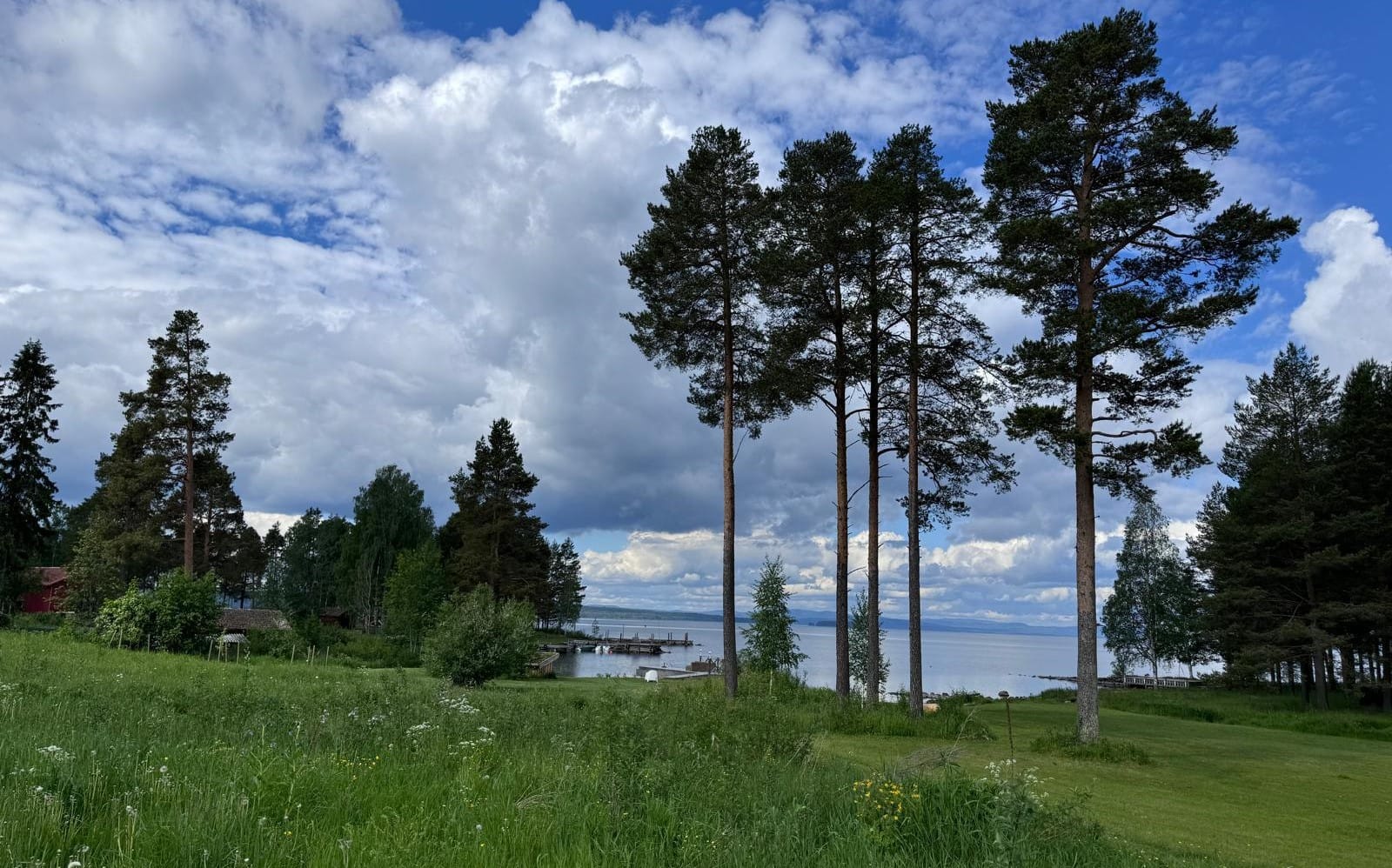 Sommarvy över Siljan